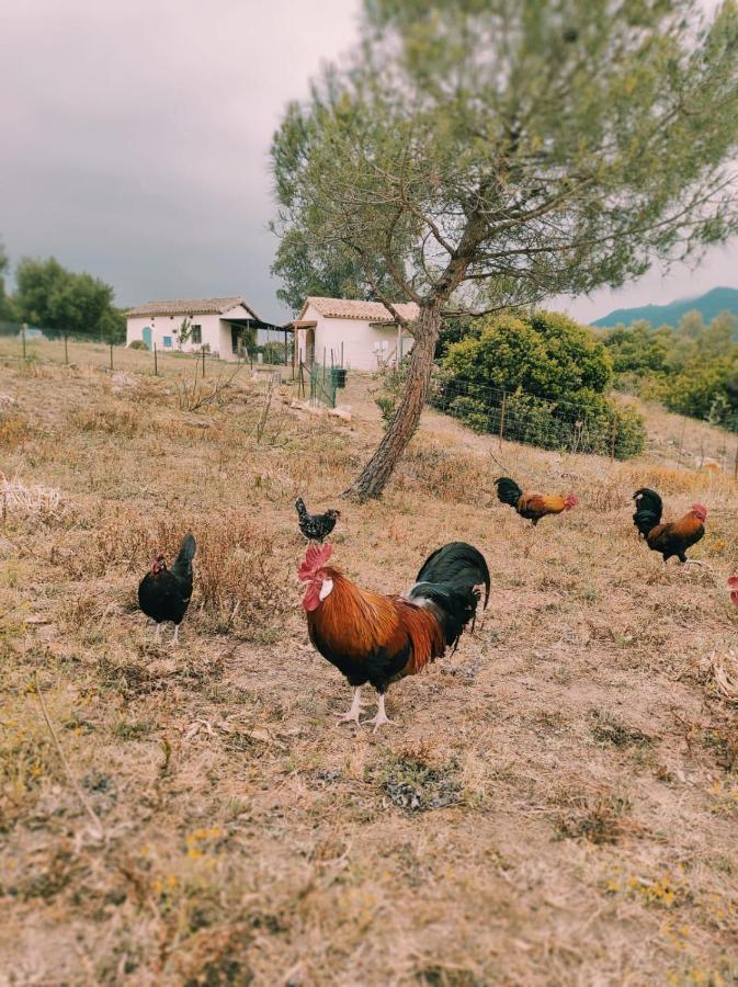 Complejo Rural Del Molino Dorado Villa Фасинас Екстериор снимка